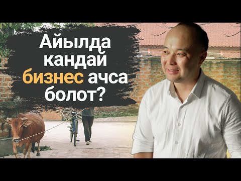 Видео: Айыл жергесине кандай бизнес ачса болот?