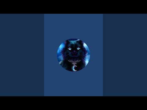 Видео: СтасиЯ Таролог 🦋 в прямом эфире!