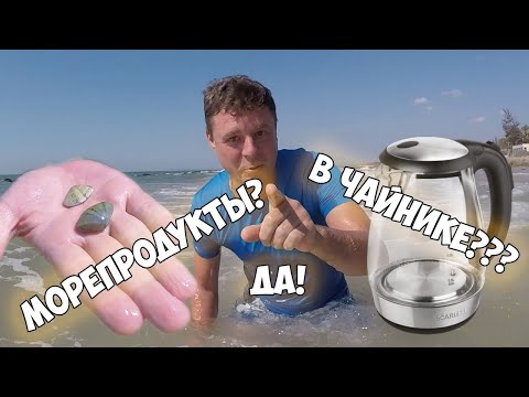 Видео: Халява с пляжа! Вкуснейшие самоловные ракушки!