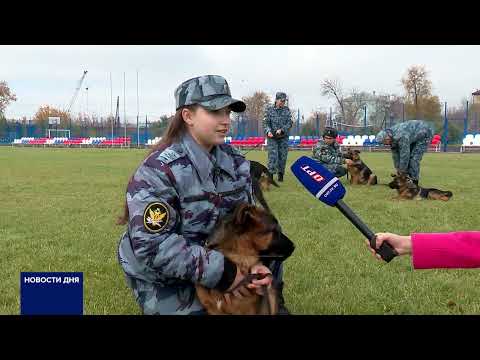 Видео: СОБАКИ ПОСТУПИЛИ НА СЛУЖБУ В УФСИН