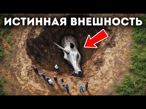 Видео: Мифы, которые звучат правдоподобно, факты, которые кажутся невозможными