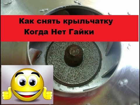 Видео: Как разобрать мотор пылесоса без гайки.  Шайба.