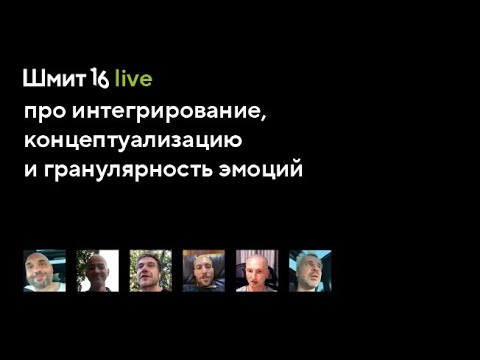 Видео: Шмит16 Live. Интегрирование, концептуализация и гранулярность эмоций