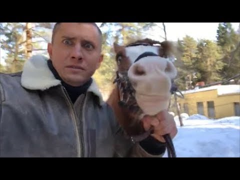 Видео: Неделя от Прилучных №44 (Съёмки Проспектов)