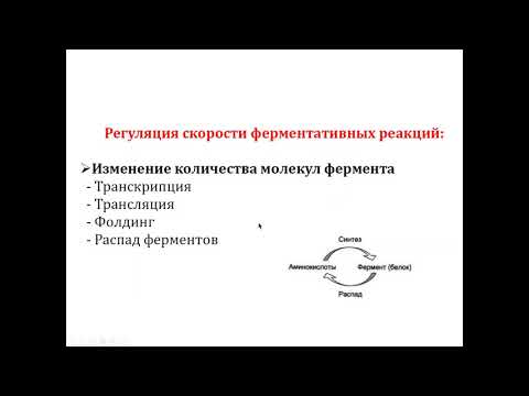 Видео: Сигнальные молекулы. Гормоны. Механизмы действия