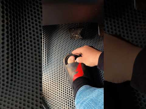 Видео: Жиза о рыбалке! #carpfishing #fishing #юмор #смех