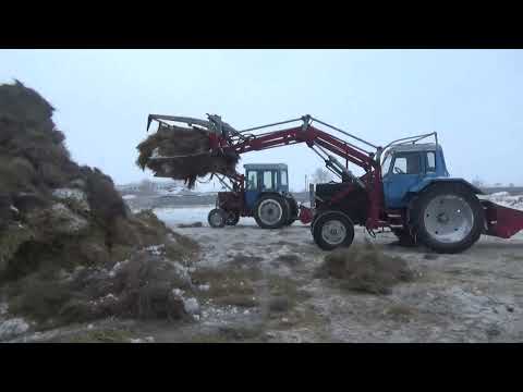 Видео: Чистка навоза в сарае среди зимы ковшом.