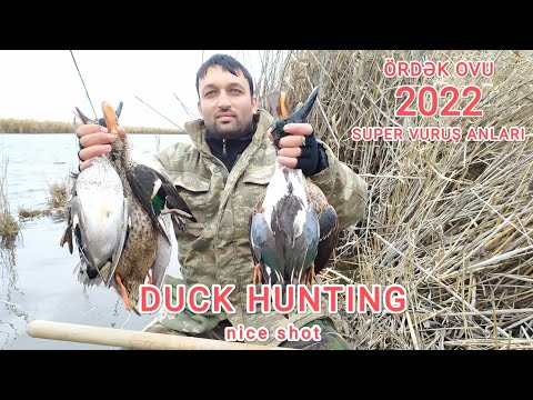 Видео: ÖRDƏK OVU 2022 / ОХОТА НА УТКУ / Super vuruş anları