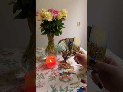 Видео: Его мысли 💭 чувства 💓действия 🐶к Вам прямо сейчас🌟💌#таро #тароонлайн #гадание