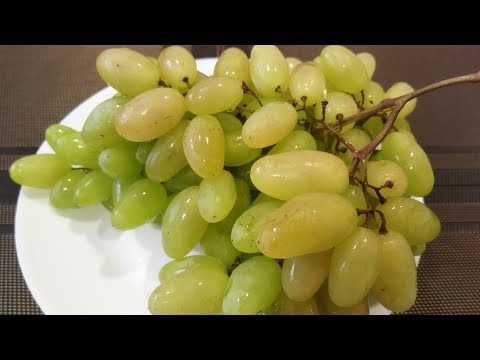 Видео: Виноград, який я викинув у минулому сезоні