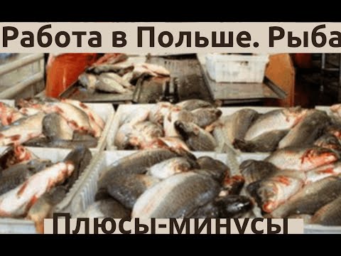 Видео: Работа в Польше. Рыба, плюсы минусы