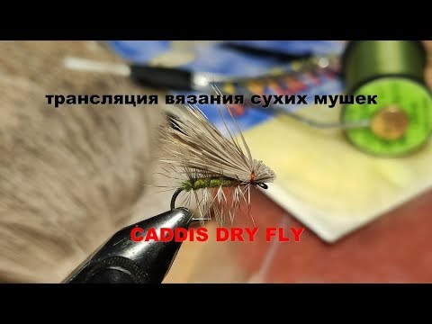 Видео: Ручейник Caddis Dry Fly трансляция по вязанию мушек