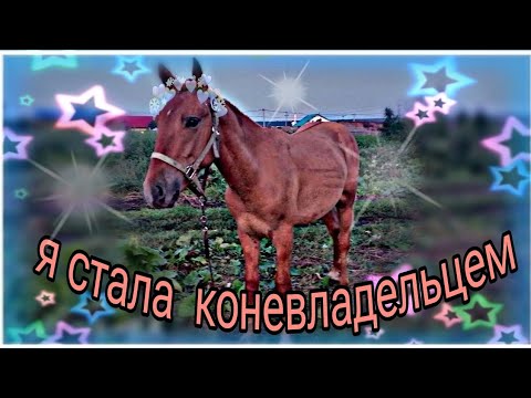 Видео: 10 августа| ПОКУПКА ЛОШАДИ | Я СТАЛА КОНЕВЛАДЕЛЬЦЕМ!