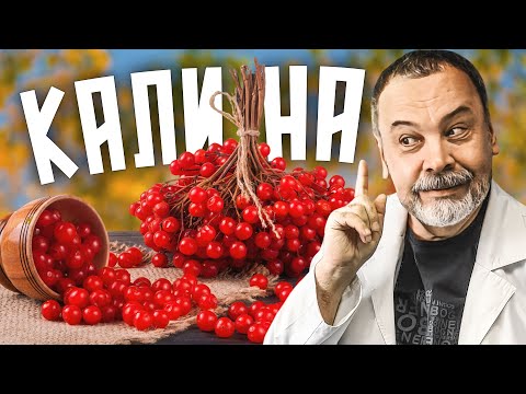 Видео: ЯГОДА ОТ ДАВЛЕНИЯ   Expert Shares Top Techniques to OVERCOME ДАВЛЕНИЯ!