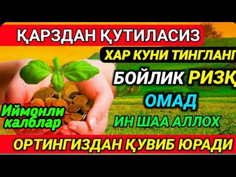 Видео: Жуда Кучли Дуо.  Бойлик, Ризк, Омад Оркангиздан Кувиб Юради.