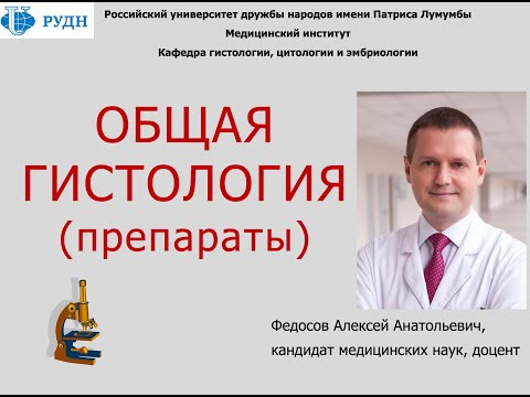 Видео: ПРЕПАРАТЫ ПО ОБЩЕЙ ГИСТОЛОГИИ  (диагностика и обоснование на коллоквиуме и экзамене)