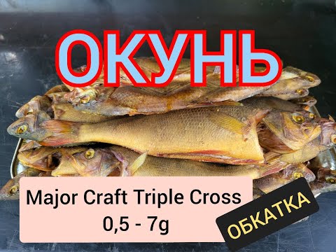 Видео: Окунь Major Craft Triple Cross 0 5   7g