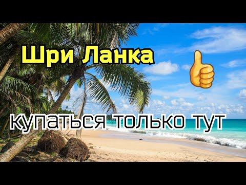Видео: Шри Ланка 2022. Хиккадува. Купаться нужно только тут!