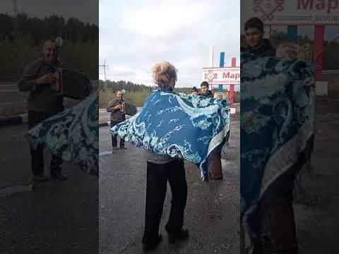 Видео: 5 ноября 2025 г.