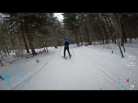 Видео: ГАБО. Габовская народная лыжня. Трасса турист.  11.03.2023