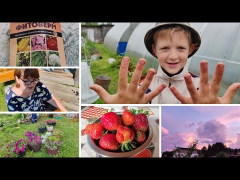 Видео: Прополка. Косим газон. Первый урожай. Дачные дела. 
