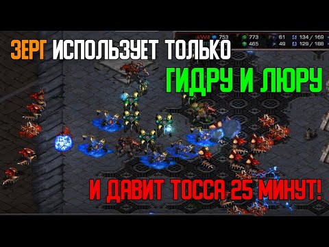Видео: Старкрафт P VS Z Только тиер2 юниты у зерга и давка нонстоп!