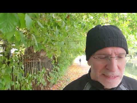 Видео: Акции Nio. Очень важно. Почему акции не обвалились из-за иска GIC? #Маск #Tesla #Nio