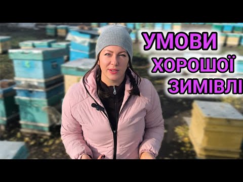 Видео: Щоб бджоли добре перезимували треба...Не загодовані бджоли, що робити. Помилки перед зимівлею. 