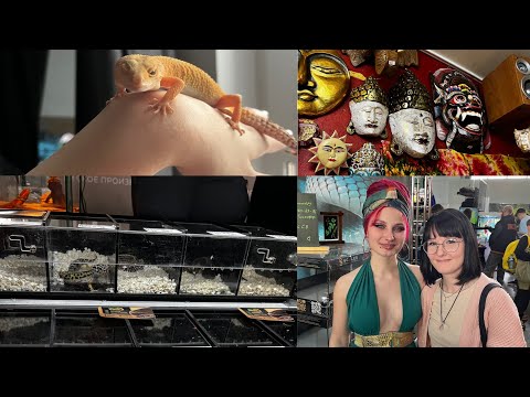 Видео: REPTILIUM🐍 / ВЫСТАВКА ЖИВОТНЫХ / ОБЗОР ПОКУПОК