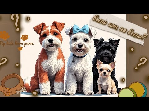 Видео: 💫Было или не было, с бумажными собаками.🐶🐾 Отвечаем на вопросики🫣. Узнала много секретов собак? 🫨✨