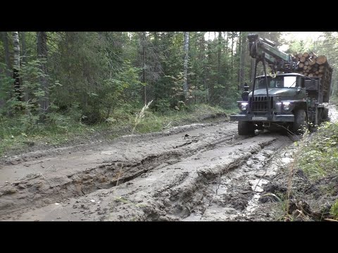 Видео: Дорога по болоту, горбыль спасает. Урал лесовоз.