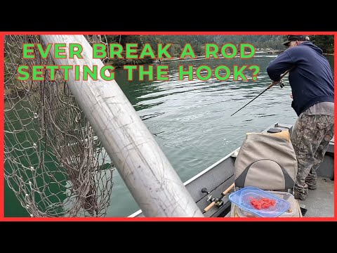 Видео: Ловля лосося: величайшее испытание