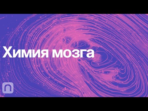 Видео: Химия мозга – курс Вячеслава Дубынина / ПостНаука