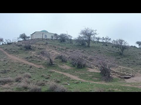 Видео: БОХОР Н.ПАНЧ МИРЗОЯНС 2024 @mirzoyans1999 #2024 #rek