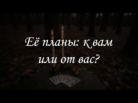 Видео: Её планы: к вам или от вас?