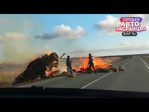 Видео: Ё Моё! Торопыги и Водятлы Октябрь ДТП