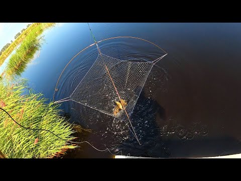 Видео: ТУТ РЫБЫ ПРОСТО НЕМЕРЕНО! СОБРАЛИ ПАУКИ И РЫБАЧИМ ПРЯМ С ТРАССЫ. ОКОВАЛКИ- КАРАСИ НА ПАУК-ПОДЪЁМНИК