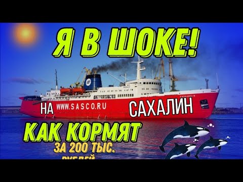 Видео: Паром на Сахалин/Цена и Сервис ШОК!