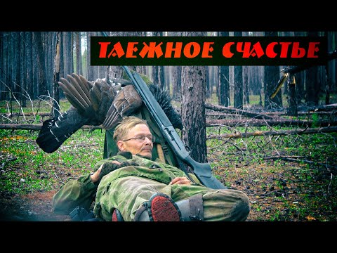Видео: Таежное счастье 3 сезон, 11 серия, Взял глухаря, Медведь закапывает лося, Добыли хозяина тайги