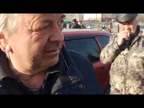 Видео: Ярмарка голубей. город Борисоглебск