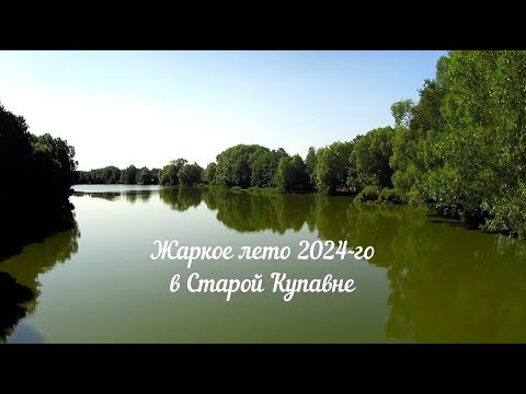 Видео: Жаркое лето 2024-го в Старой Купавне