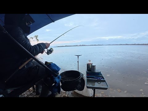Видео: 🎣FEEDER🐬 РИБОЛОВЛЯ ПІД ДОЩЕМ ДНІПРО🐬 ОСТАННІ ДНІ ЖОВТНЯ 2025 🇺🇦