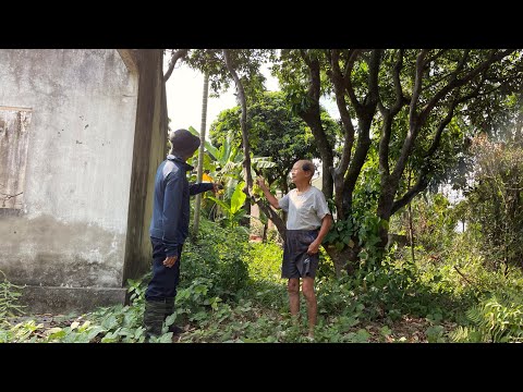 Видео: Помогите пожилой паре бесплатно навести порядок в саду и добиться приятной трансформации.