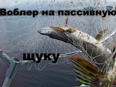 Видео: Ответы подписчикам. Воблеры для пассивной щуки