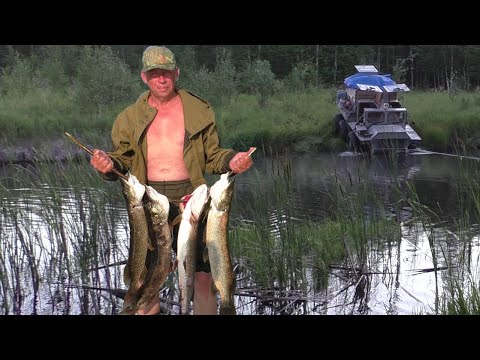 Видео: МЕГА-РЫБАЛКА НА МАНСИЙСКОМ ОЗЕРЕ