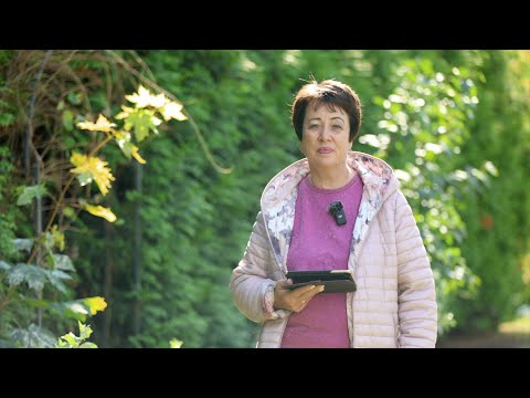 Видео: 3643. Хлеб на каждый день. 17 сентября. Псалом 88:38