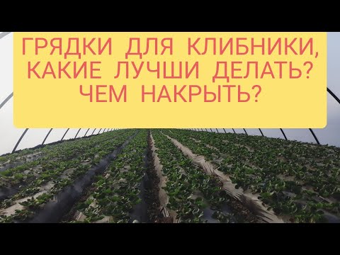 Видео: ГРЯДКИ ДЛЯ КЛУБНИКИ,КАК И ЧТО! ЧЕМ ЛУЧШЕ ЗАМУЛЬЧИРОВАТЬ?АГРОСПАМ,ПЛЕНКА ИЛИ ГЕОТЕКСТИЛЬ?