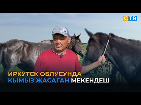 Видео: Иркутск облусунда кымыз жасаган мекендеш