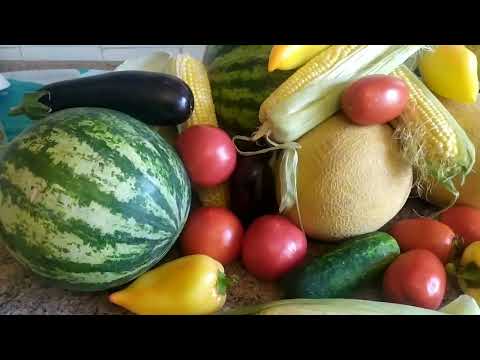 Видео: Vlog: КРАСКИ ОСЕНИ С БАЗАРА.БРАТИКИ.