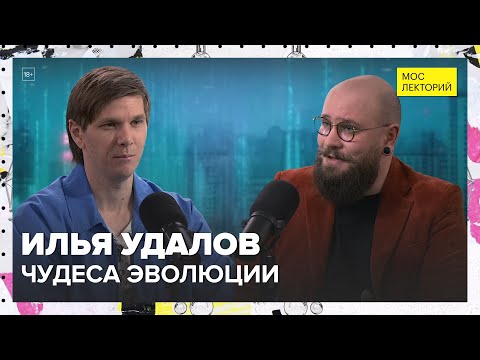 Видео: Чудеса эволюции | Илья Удалов Лекция 2025 | Мослекторий
